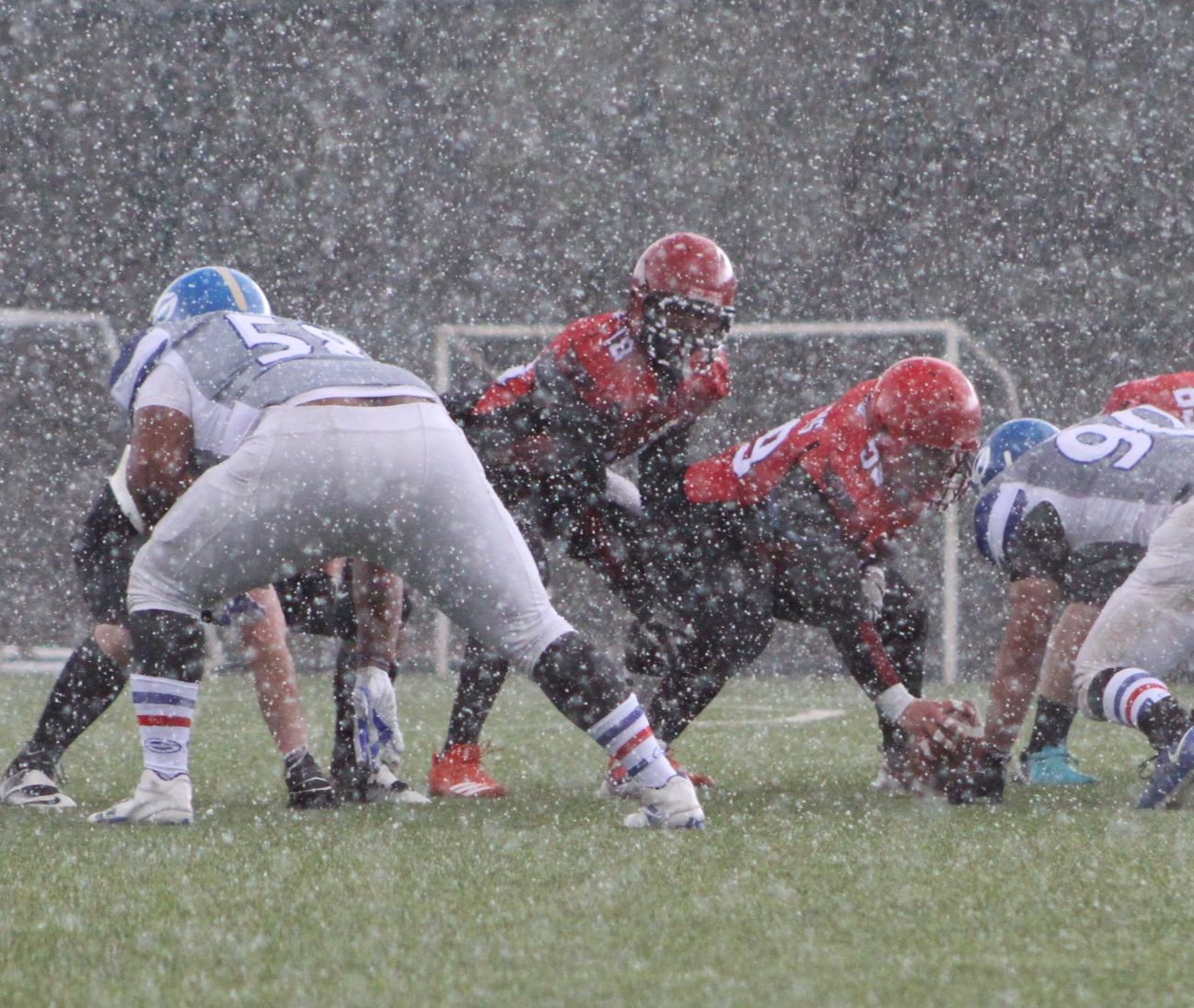 Cam Jackson